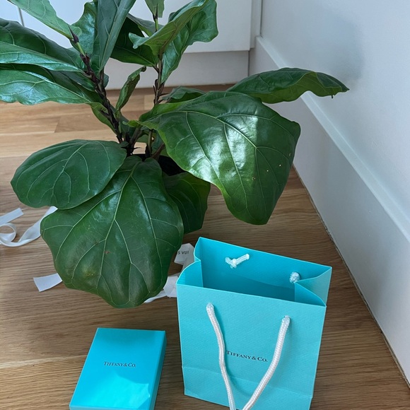 Tiffany & Co. Turquoise Bag with Green Faux Plant - Picture 1 of 3